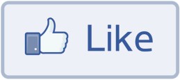 facebook_like_button-content-writer-my-words-work-for-you