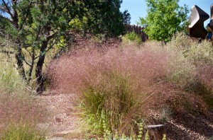 Eragnostis trichodes Online or small business support My Words Work For You