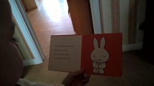 Storytelling child listening to Miffy Literacy Content Writer My Words Work For You