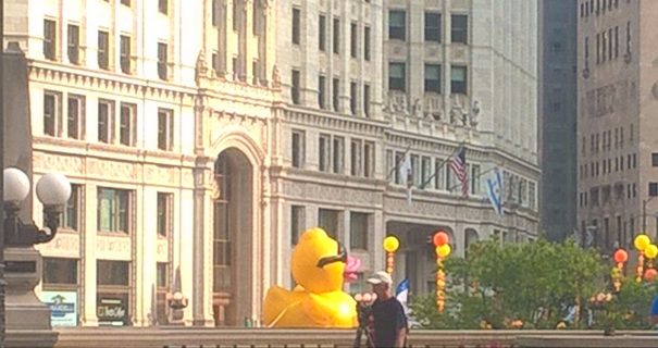 Ducky Derby Chicago Small Business Content Writer My Words Work For You