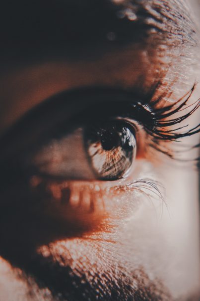 Critical eye on business Small Business Support Cambridge